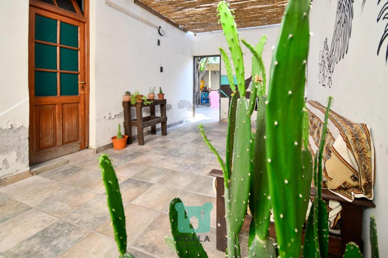 Koala Hostel เมนโดซา ภายนอก รูปภาพ