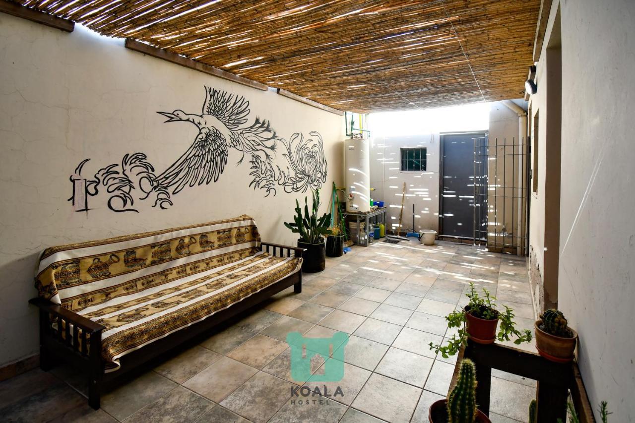 Koala Hostel เมนโดซา ภายนอก รูปภาพ